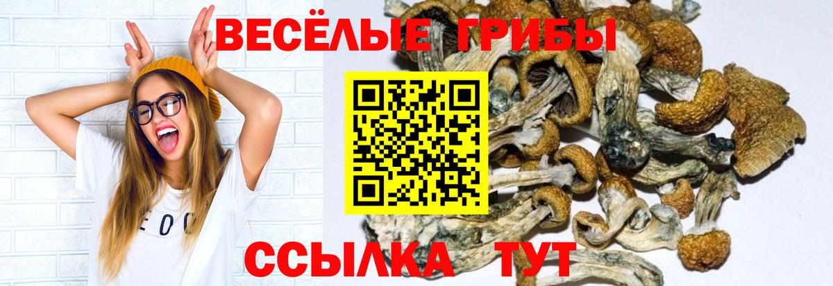 Кодеин Артём