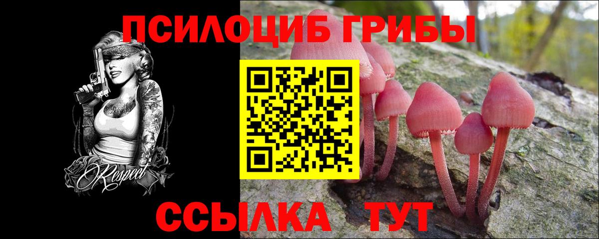 Артём  Псилоцибиновые грибы ЛСД  Псилоцибиновые грибы мицелий  Вход с VPN 